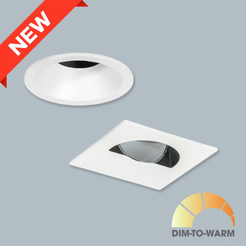 P22 15 DTW cover7 500x500 1