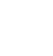 pbl logowhite